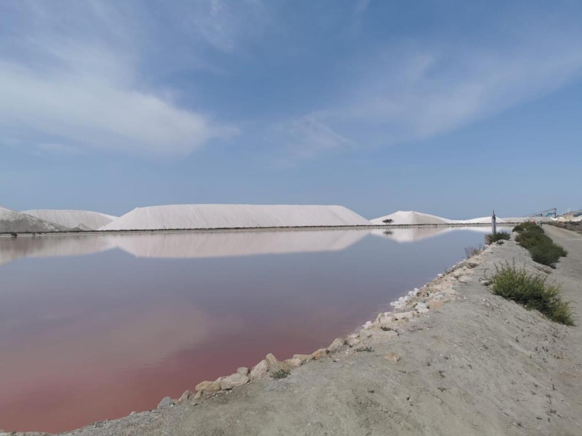 Cabane Cassiopee Aigues- Mortes Dış mekan fotoğraf